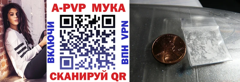 Купить закладки  Порхов  Alpha PVP СК 
